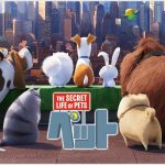 映画「ペット」のあらすじ、感想、ネタバレ、結末